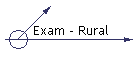 Exam - Rural