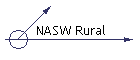 NASW Rural